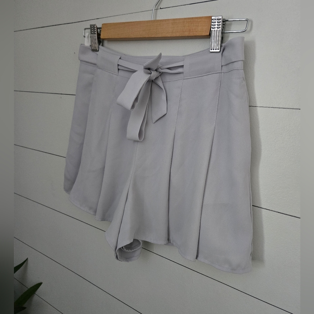 Aritzia Sunday Best Westley Shorts - Picture 4 of 5